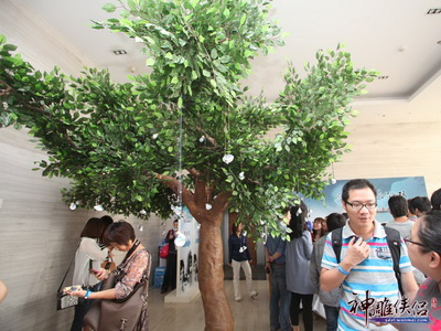 图片: 图1：树上的“绝情丹”方能化解来宾体内情花之毒.jpg